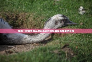 推荐一款越乡游斗牛可不可以开挂其实有挂果然有挂