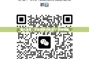 重大通报“双盈休闲透视挂!”开挂神器