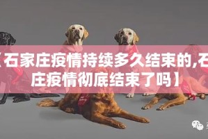 重磅.来袭新青龙挂辅助工具(确实有挂)