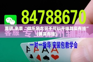重磅.来袭“微乐窝龙可不可以开挂其实有挂”(确实有挂)