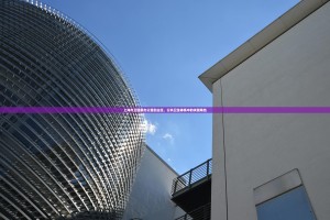 上海市卫健委办公室副主任，公共卫生体系中的关键角色