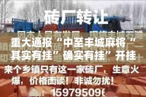 重磅.来袭湖南跑得快真的其实有挂2025（果然有挂）