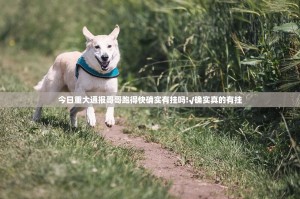 今日重大通报哥哥跑得快确实有挂吗!√确实真的有挂