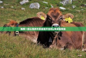 重大通报闽乐乐能不能开挂(原来确实是有挂)