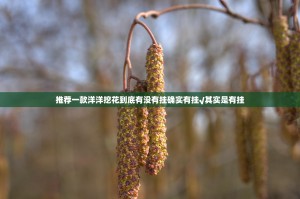 推荐一款洋洋挖花到底有没有挂确实有挂√其实是有挂