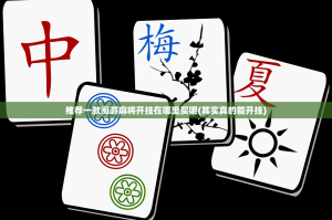 推荐一款闽游麻将开挂在哪里买呢(其实真的能开挂)