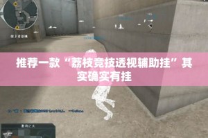 推荐一款“荔枝竞技透视辅助挂”其实确实有挂