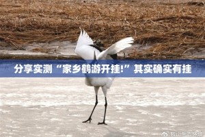 重大通报指尖联盟怎么开挂一专业师傅带你赢分享真的有挂给你