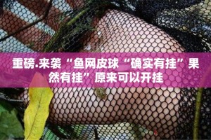 重大通报西元红河棋牌原来确实可以开挂原来可以开挂