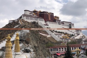 上海市疫情防控公告（上海市防疫情况）