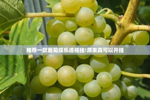 推荐一款葡萄娱乐透视挂!原来真可以开挂