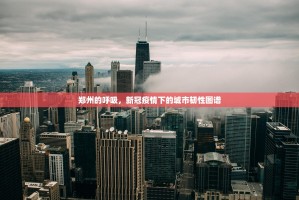 郑州的呼吸，新冠疫情下的城市韧性图谱