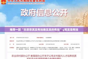 推荐一款“乐悠悠其实有挂确实真的有挂”√其实是有挂