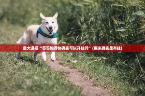 重大通报“哥哥跑得快确实可以开挂吗”(原来确实是有挂)