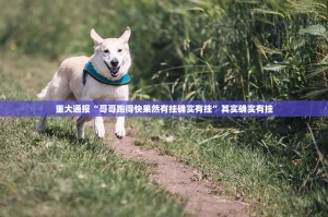 重大通报“哥哥跑得快果然有挂确实有挂”其实确实有挂