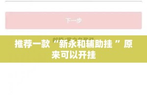 推荐一款“新永和辅助挂 ”原来可以开挂