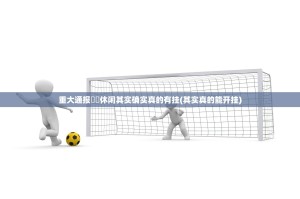 重大通报鷗動休闲其实确实真的有挂(其实真的能开挂)