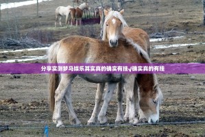 分享实测欢聚3确实真的有挂其实有挂-知乎