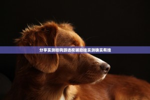 分享实测哈狗游透视辅助挂实测确实有挂