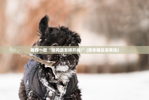 推荐一款西元红河棋牌开挂方法果然有挂