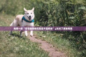 推荐一款“哥哥跑得快究竟是不是有挂”√太坑了原来有挂
