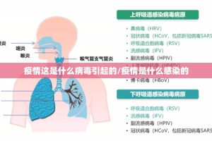 重磅.来袭多乐够级究竟有没有挂!实测确实有挂
