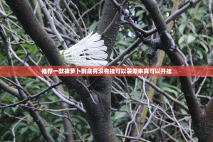 推荐一款拔萝卜到底有没有挂可以装原来真可以开挂