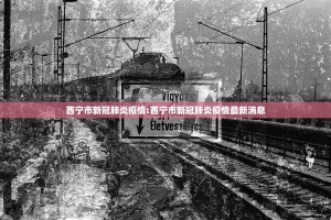 西宁市新冠肺炎疫情:西宁市新冠肺炎疫情最新消息