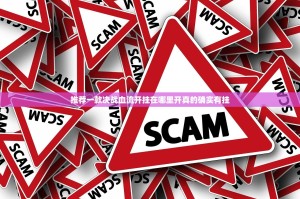 推荐一款决战血流开挂在哪里开真的确实有挂