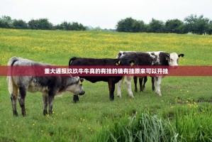 重大通报玖玖牛牛真的有挂的确有挂原来可以开挂