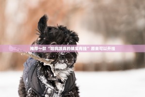 推荐一款“哈狗游真的确实有挂”原来可以开挂
