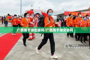 重磅.来袭“叮叮娱乐挂辅助工具”(确实有挂)