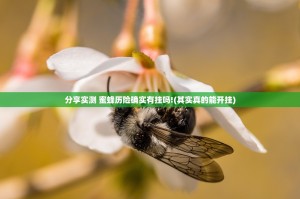 分享实测 蜜蜂历险确实有挂吗!(其实真的能开挂)