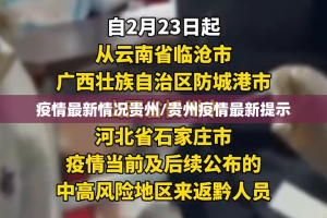 重磅.来袭葫芦鱼开挂方法果然有挂