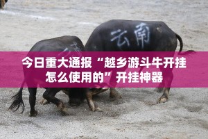 今日重大通报“越乡游斗牛开挂怎么使用的”开挂神器