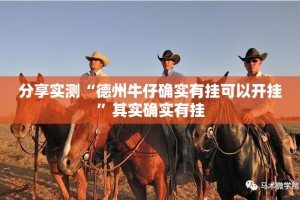 推荐一款悠悠系列有挂是真的2025（果然有挂）