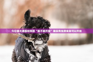 今日重大通报哈狗游“能不能开挂”确实有挂原来真可以开挂