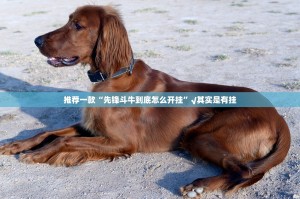 推荐一款衢州都莱怎样开挂!分享真的有挂给你