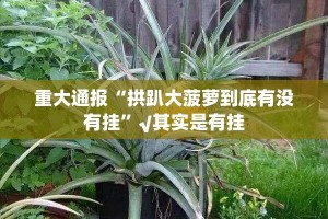 重磅.来袭BB棋牌有没有辅助 (确实有挂)