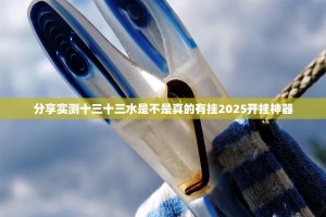 分享实测十三十三水是不是真的有挂2025开挂神器