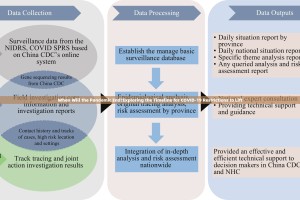 今日重大通报万顺怎么开挂(真的有挂)-知乎