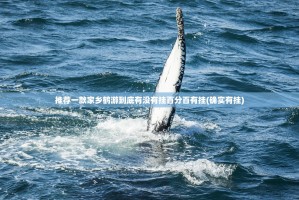 推荐一款家乡鹤游到底有没有挂百分百有挂(确实有挂)