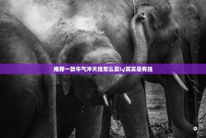 重磅.来袭九道麻将其实有挂确实真的有挂原来可以开挂