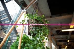 推荐一款毛豆互娱到底是不是挂原来可以开挂