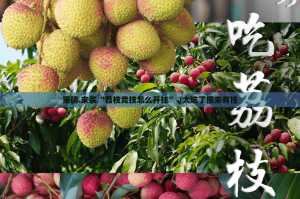 重磅.来袭“荔枝竞技怎么开挂”√太坑了原来有挂