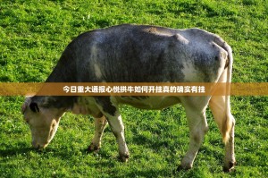 今日重大通报心悦拱牛如何开挂真的确实有挂