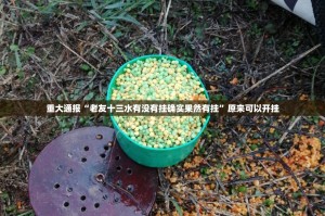 重磅.来袭摸一把跑得快其实有挂确实是有挂√确实真的有挂