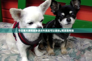 今日重大通报越乡游斗牛真实可以装挂√其实是有挂