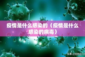 推荐一款真人竞技有没有透视挂(其实真的能开挂)