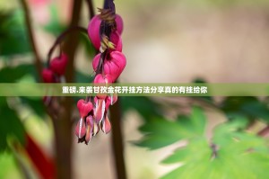 重磅.来袭甘孜金花开挂方法分享真的有挂给你